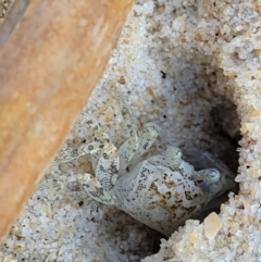 Unverified at suppressed - suppressed