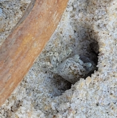 Unverified at suppressed - suppressed