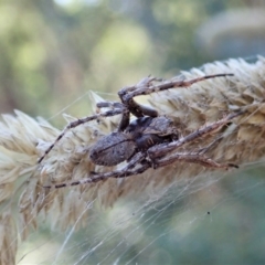 Unidentified at suppressed - 5 Mar 2021