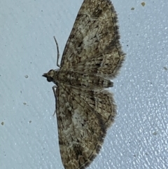 Chloroclystis insigillata at Jerrabomberra, NSW - 29 Jun 2022