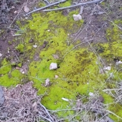 Unidentified at suppressed - 2 Jul 2022
