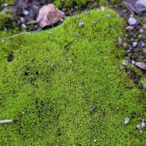 Unidentified at suppressed - 2 Jul 2022