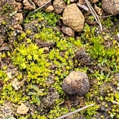 Unidentified at suppressed - 5 Jul 2022