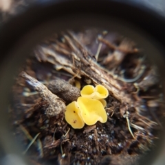 Unverified at suppressed - suppressed