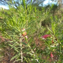 Unidentified at suppressed - 16 Jun 2011