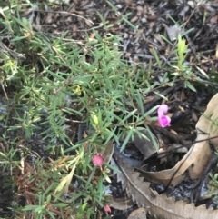 Unidentified at suppressed - 9 Jul 2022