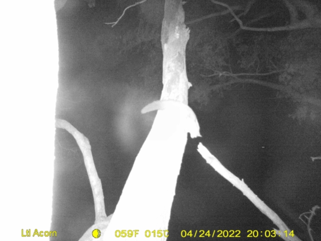 Unidentified at suppressed - 24 Apr 2022