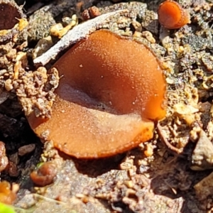 Unidentified at suppressed - 10 Aug 2022