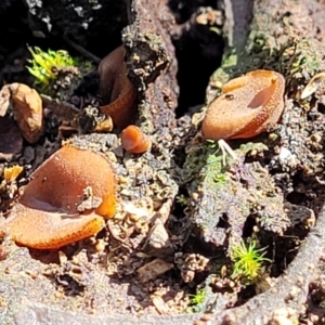 Unidentified at suppressed - 10 Aug 2022