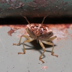 Unverified at suppressed - suppressed