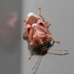 Unverified at suppressed - suppressed