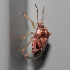 Unverified at suppressed - suppressed