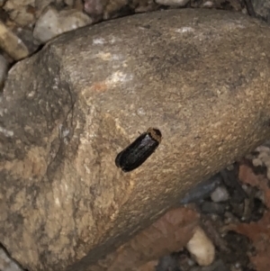 Unidentified at suppressed - 6 Sep 2022