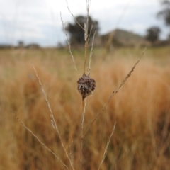 Unidentified at suppressed - 8 Sep 2022