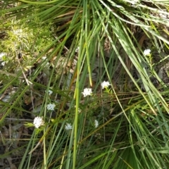 Unverified at suppressed - suppressed