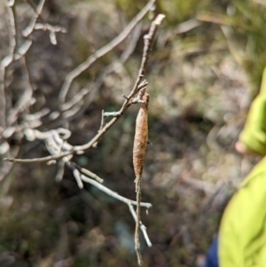 Unidentified at suppressed - 18 Sep 2022