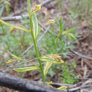 Unidentified at suppressed - 17 Sep 2022