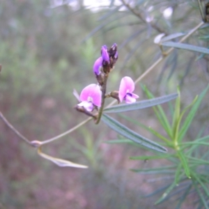 Glycine clandestina at Aranda, ACT - 18 Sep 2022