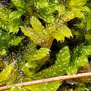 Unidentified at suppressed - 22 Sep 2022