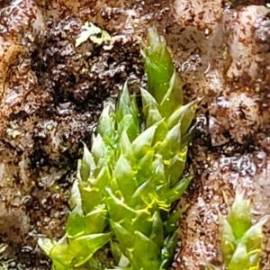 Unidentified at suppressed - 22 Sep 2022