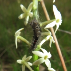 Unidentified at suppressed - 30 Sep 2022