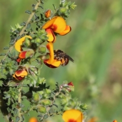 Unverified at suppressed - suppressed