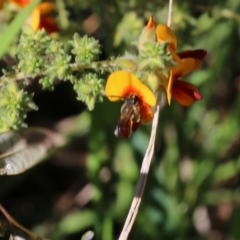 Unverified at suppressed - suppressed