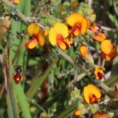 Unverified at suppressed - suppressed