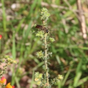 Unverified at suppressed - suppressed