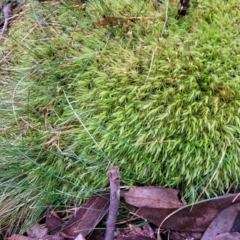 Unverified at suppressed - suppressed