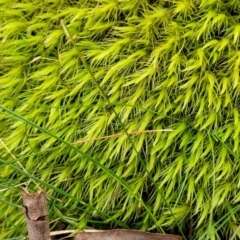 Unverified at suppressed - suppressed