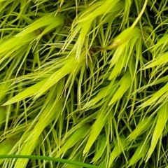 Unverified at suppressed - suppressed