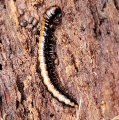 Unverified at suppressed - suppressed