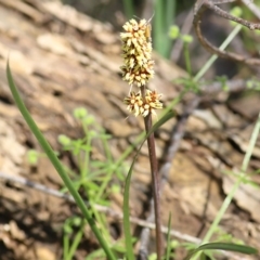 Unidentified at suppressed - 30 Oct 2022