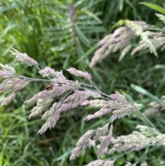 Unidentified at suppressed - 30 Oct 2022