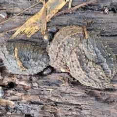 Unverified at suppressed - suppressed