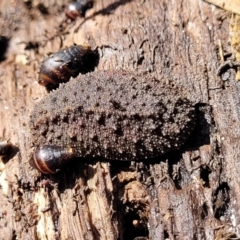 Unverified at suppressed - suppressed