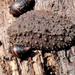 Unverified at suppressed - suppressed