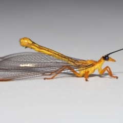 Unverified at suppressed - suppressed