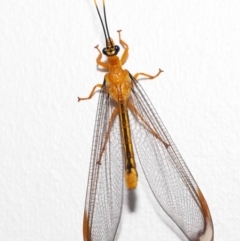 Unverified at suppressed - suppressed