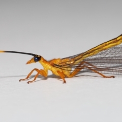 Unverified at suppressed - suppressed