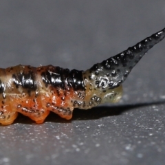 Unverified at suppressed - suppressed