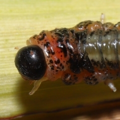 Unverified at suppressed - suppressed