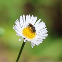 Unverified at suppressed - suppressed