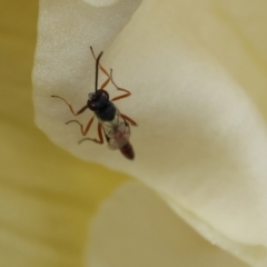 Unverified at suppressed - suppressed