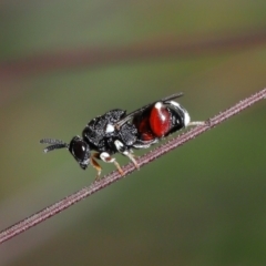 Unverified at suppressed - suppressed