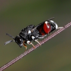 Unverified at suppressed - suppressed