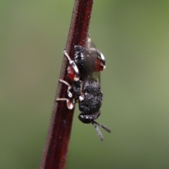 Unverified at suppressed - suppressed