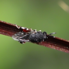 Unverified at suppressed - suppressed