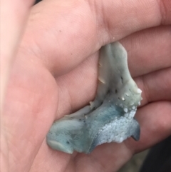 Unverified at suppressed - suppressed